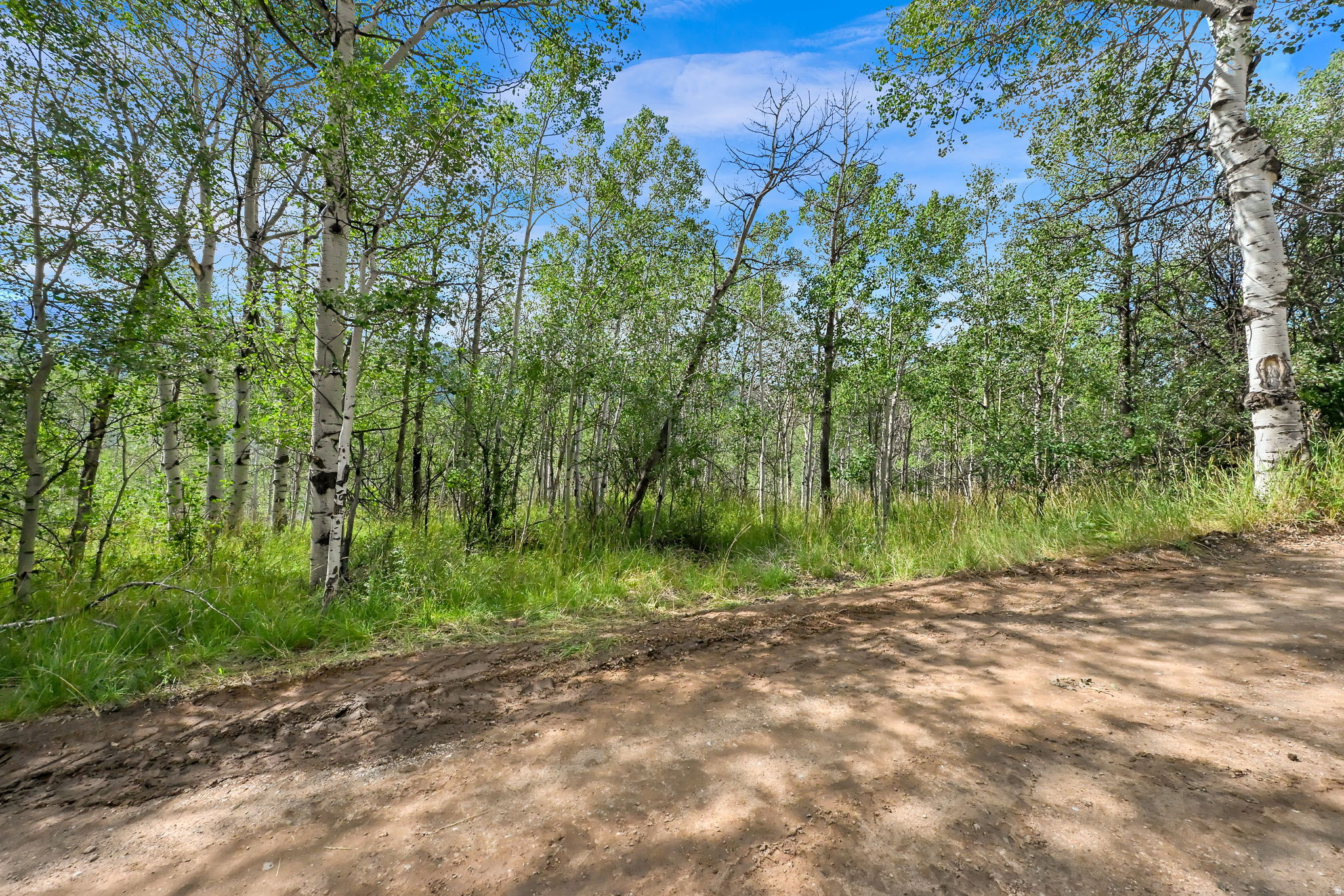 Escape to the mountains with this beautiful 0.91-acre wooded lot in the gated Beaver Springs Ranch community of Oakley. Surrounded by mature pines and aspens, this property offers breathtaking Uinta Mountain views and a building site perfect for your dream cabin retreat. Enjoy endless outdoor recreation including hiking, ATV trails, fishing, snowmobiling, and abundant wildlife right outside your door. Experience the privacy, tranquility, and natural beauty of mountain living while still being within easy reach of Oakley and Park City. Your mountain getaway starts here!
