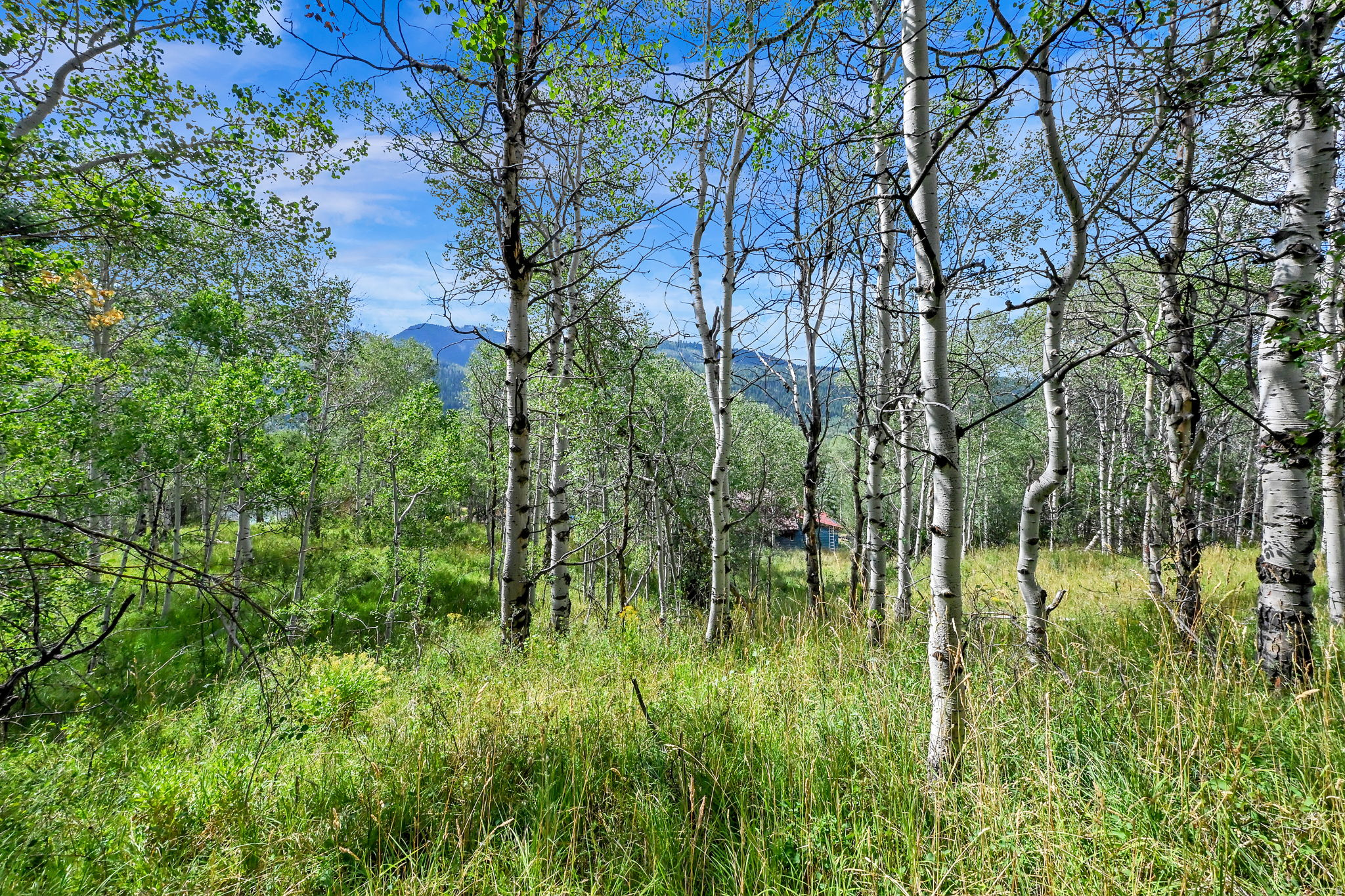 BEAVER SPRINGS RANCH SUBDIV - Land