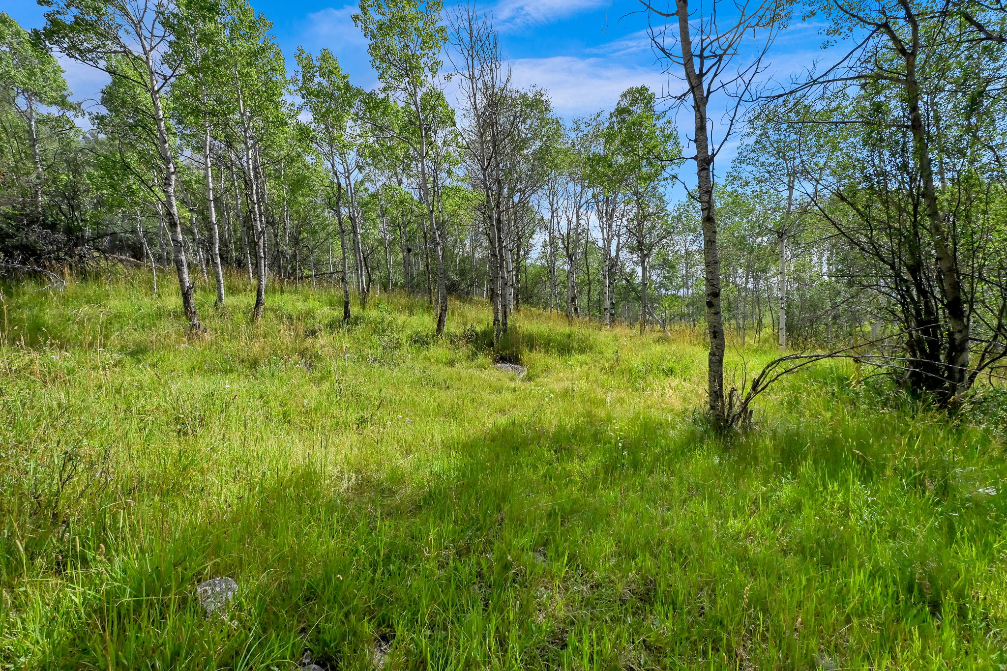 BEAVER SPRINGS RANCH SUBDIV - Land