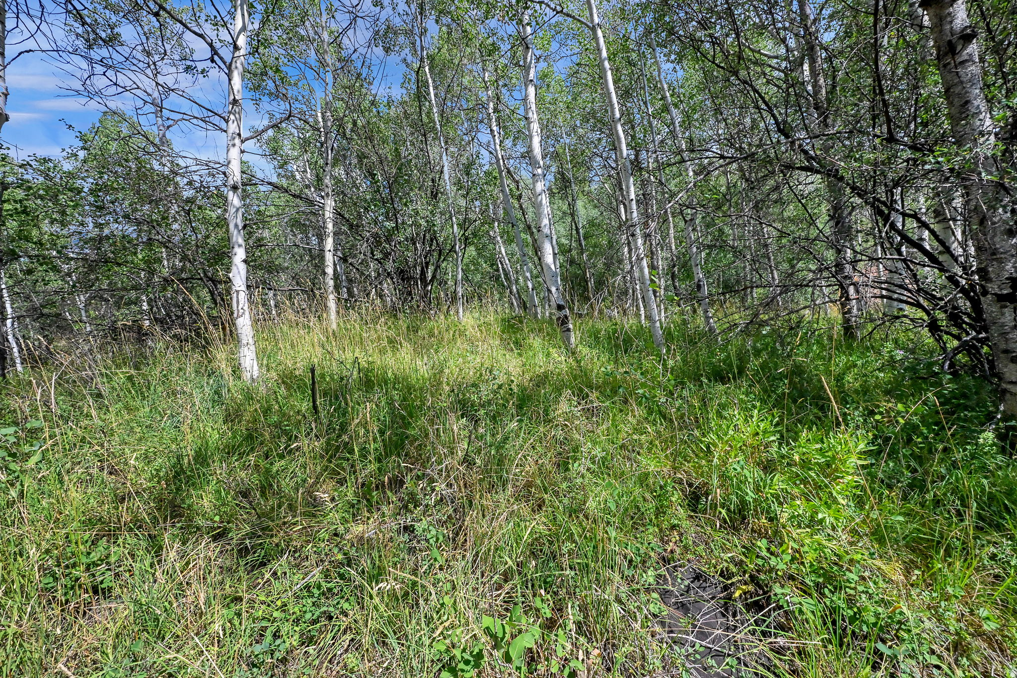 BEAVER SPRINGS RANCH SUBDIV - Land