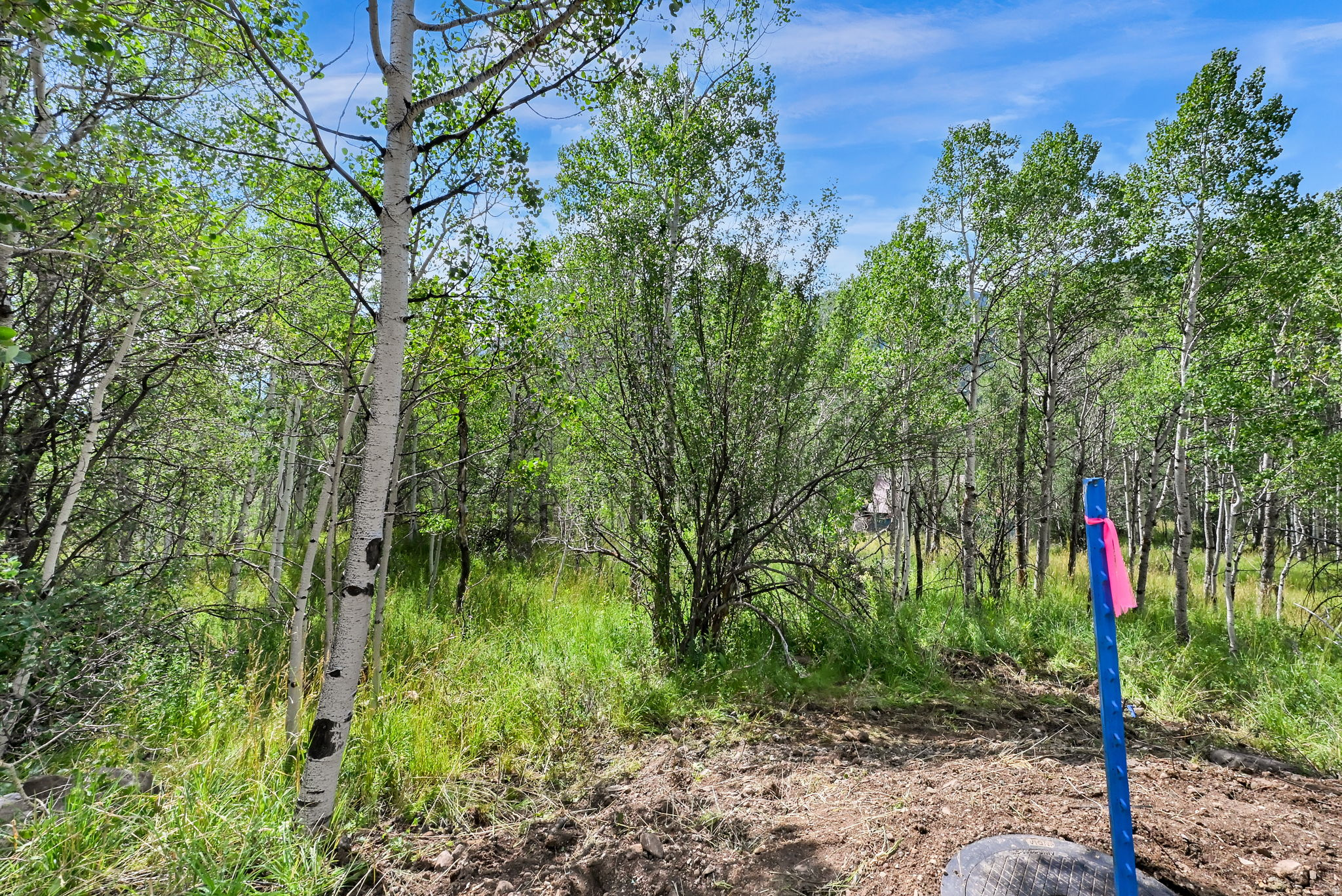 BEAVER SPRINGS RANCH SUBDIV - Land