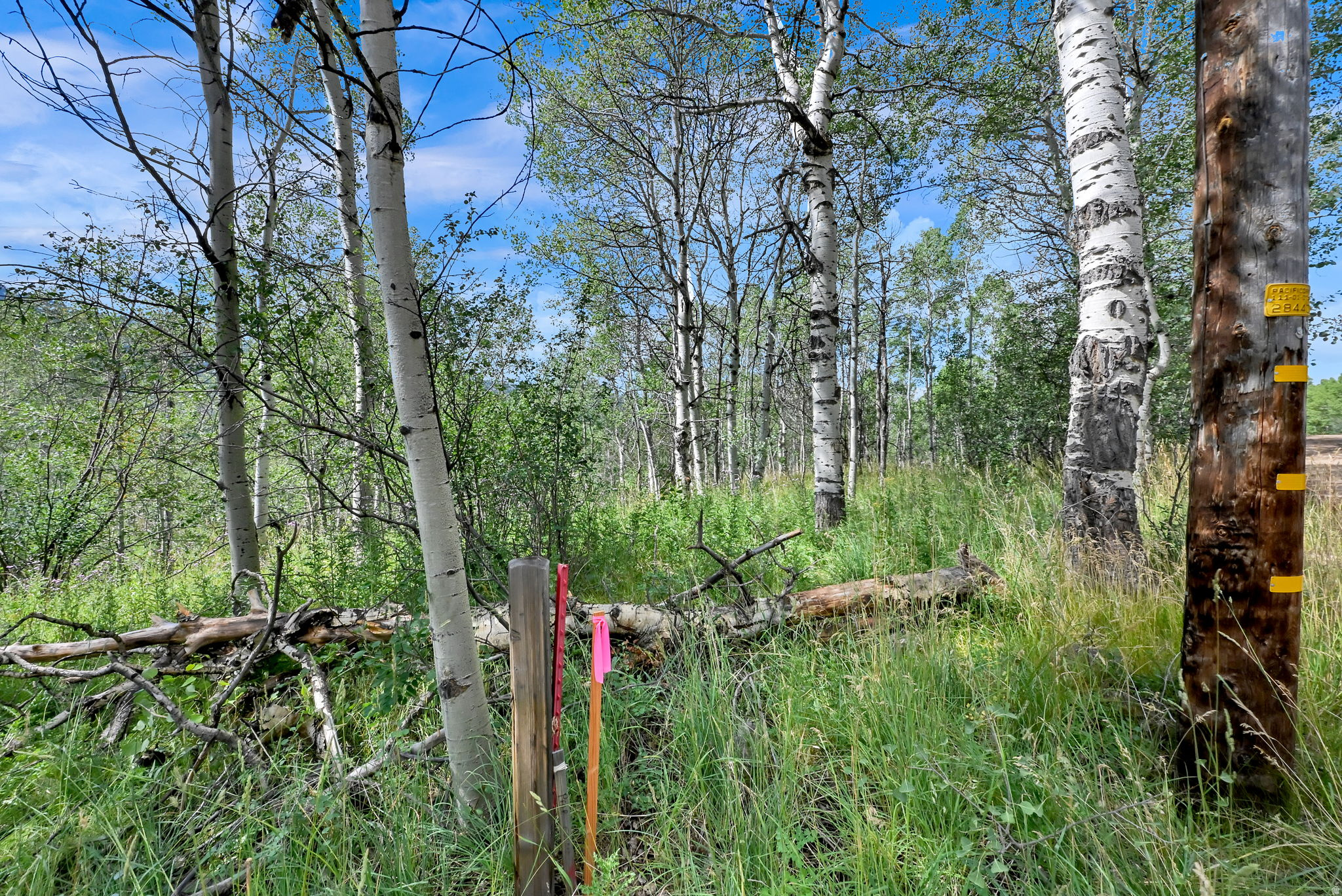 BEAVER SPRINGS RANCH SUBDIV - Land