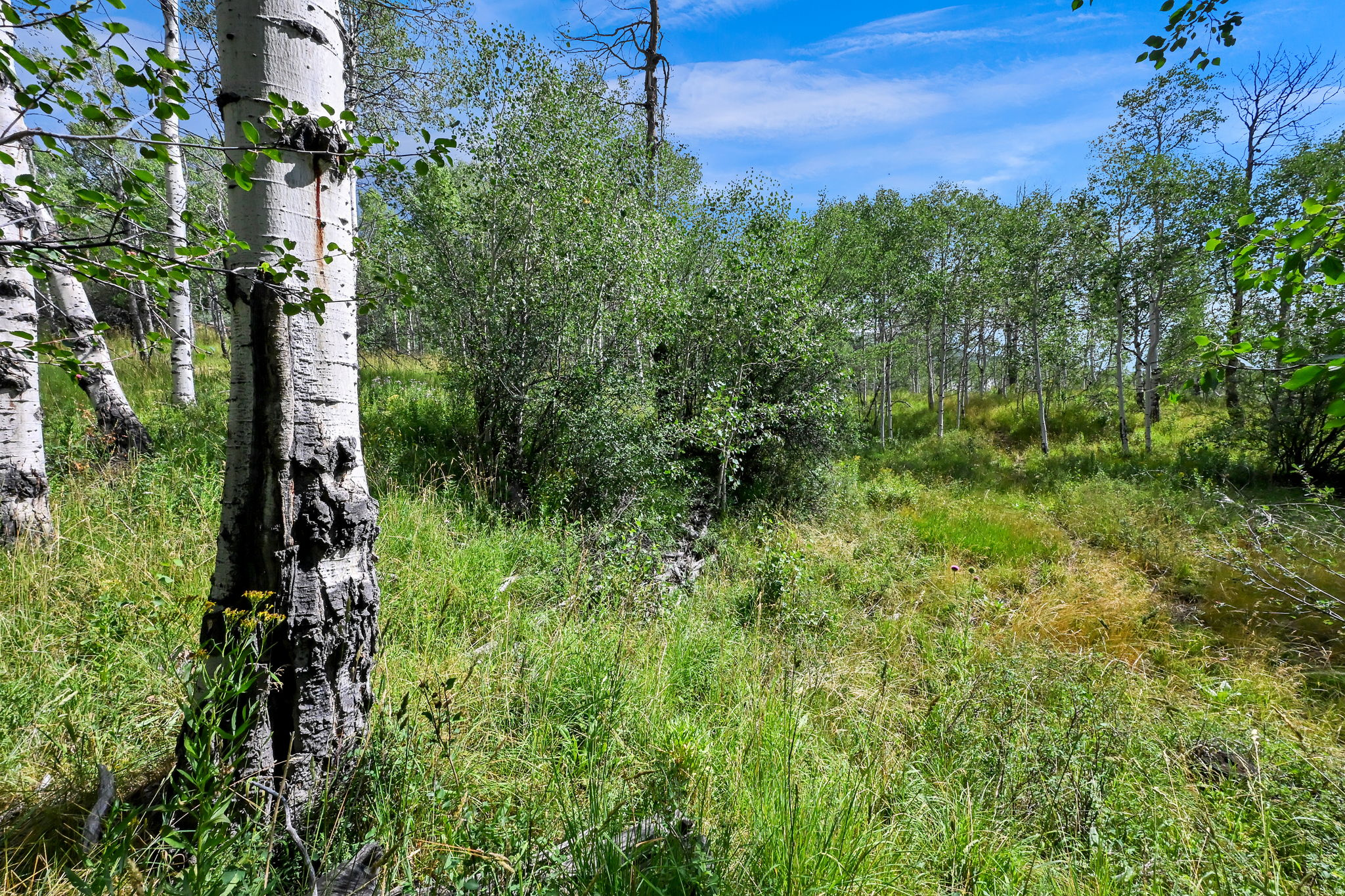BEAVER SPRINGS RANCH SUBDIV - Land