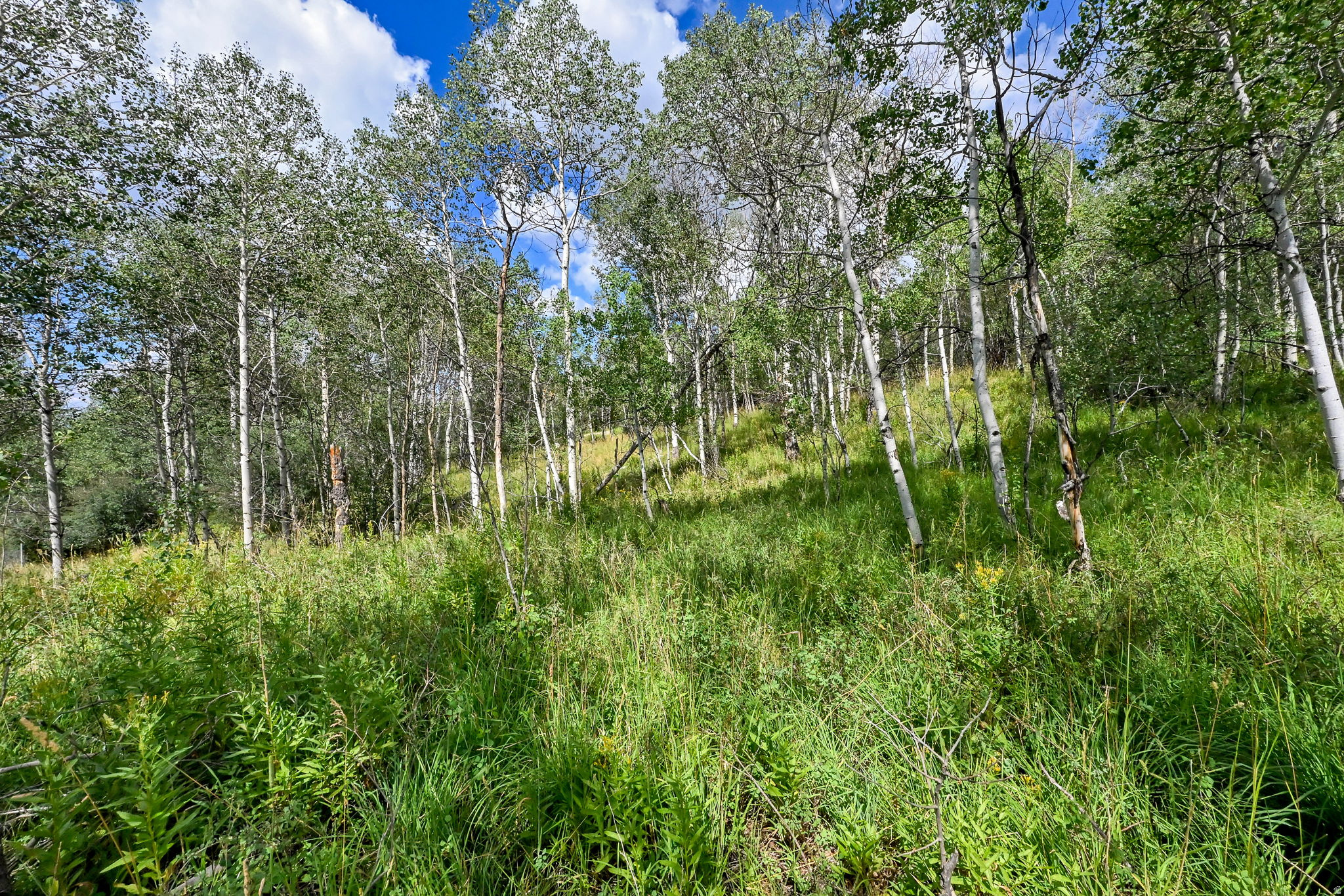 BEAVER SPRINGS RANCH SUBDIV - Land