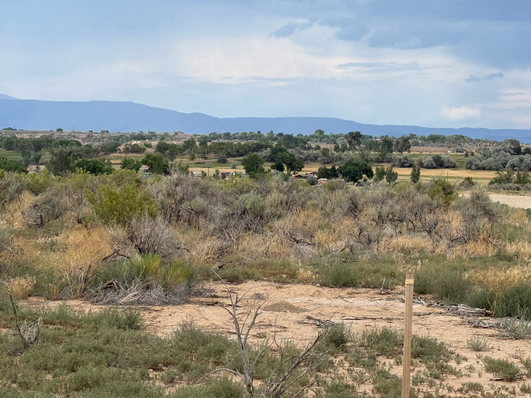 Enjoy the peace and privacy of country living while being just minutes from town... the perfect place to build your dream home with the balance of tranquility and convenience.  Surrounded by scenic views and quality new homes it is an ideal setting with room for your toys, shop or animals.