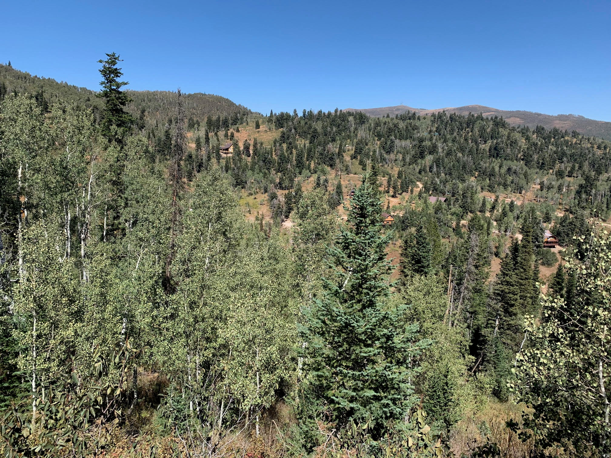 Private 1-acre wooded lot in Pine Meadow with stunning Uinta Mountain views. Buildable and secluded, yet close to Park City skiing, hiking, lakes, and within an hour of Salt Lake International Airport. Ideal for a mountain retreat or full-time home.