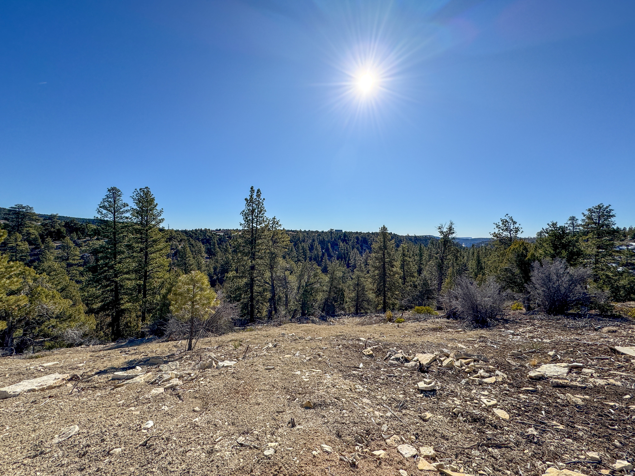 LITTLE PONDEROSA - Land