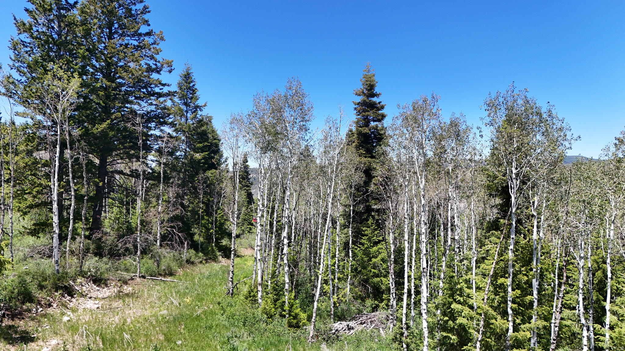 Beautiful lot with Quaking Aspen and Pine trees. Sits up high with stunning views. Corner lot. Flat area up top for RV or build your dream cabin. Subbed for water and power. Buyer to verify boundaries, acreage and land info. Cornerof snowbird and solitude