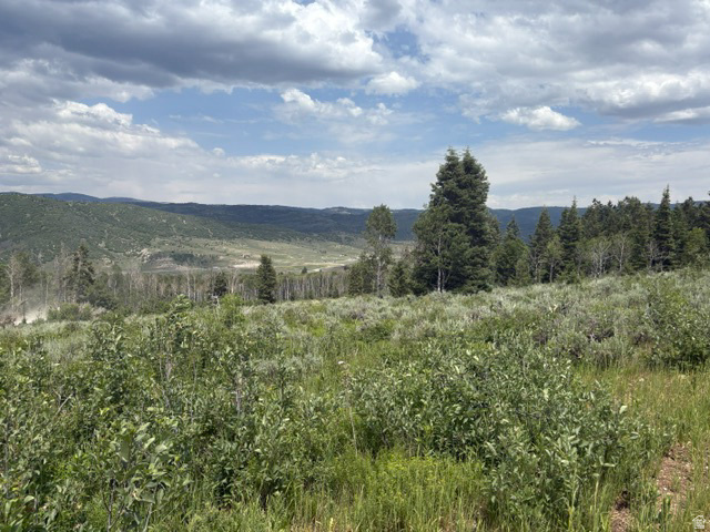 SOLDIER SUMMIT ESTATES - Land