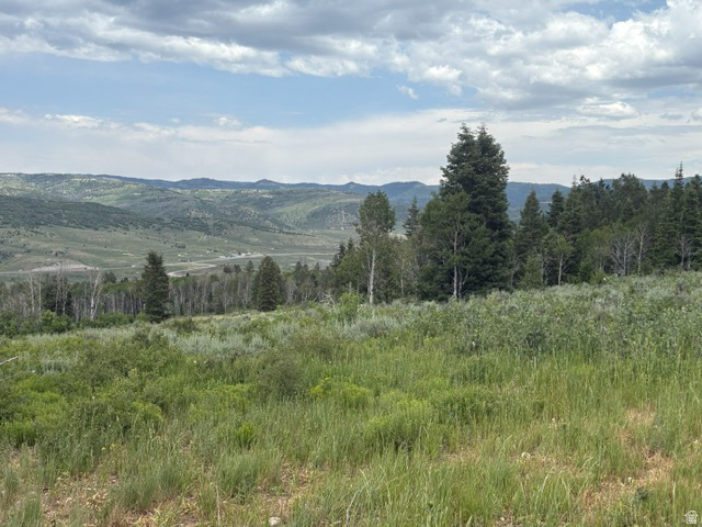 SOLDIER SUMMIT ESTATES - Land