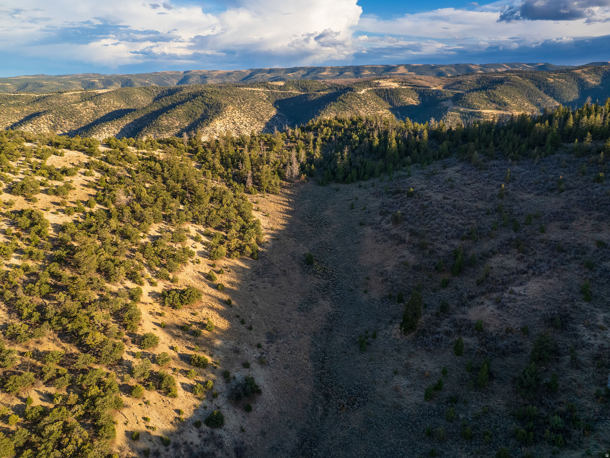Private hunting grounds. This 352 acre parcel is extremely private and secluded, behind locked gates. You'll find bear, lions, deer and elk all on this property. Seasonal 4x4 access, no utilities. Approx 30 minutes SW of Duchesne, at the top of lake canyon. Near Buck Knoll, elevation approx. 8000'.
