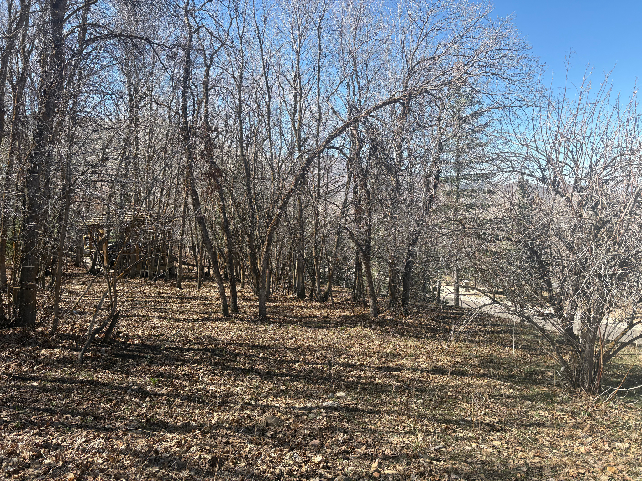 WOODLAND HILLS - Land