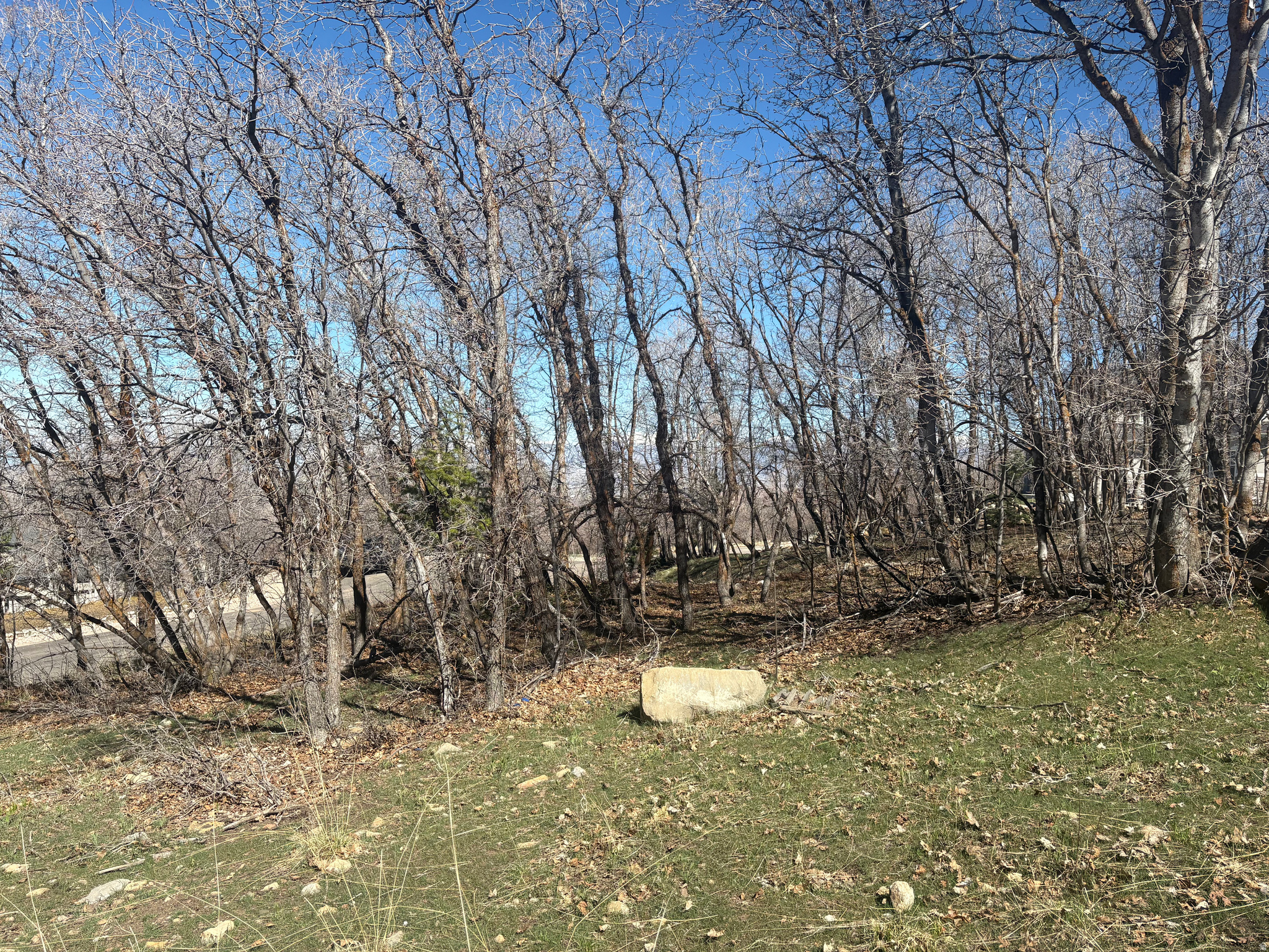 WOODLAND HILLS - Land