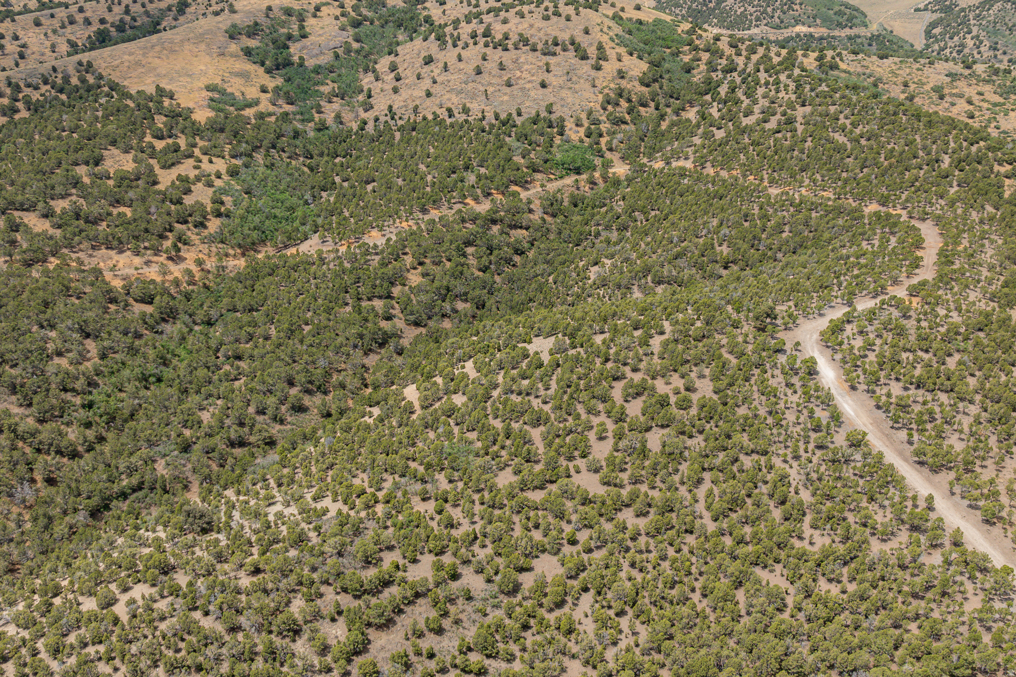 HI COUNTRY ESTATES PHASE 1 - Land