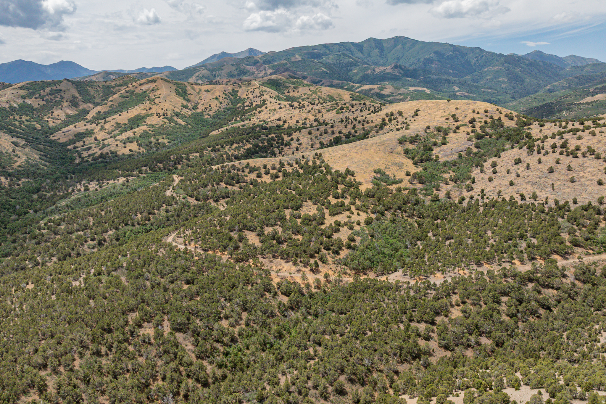 HI COUNTRY ESTATES PHASE 1 - Land
