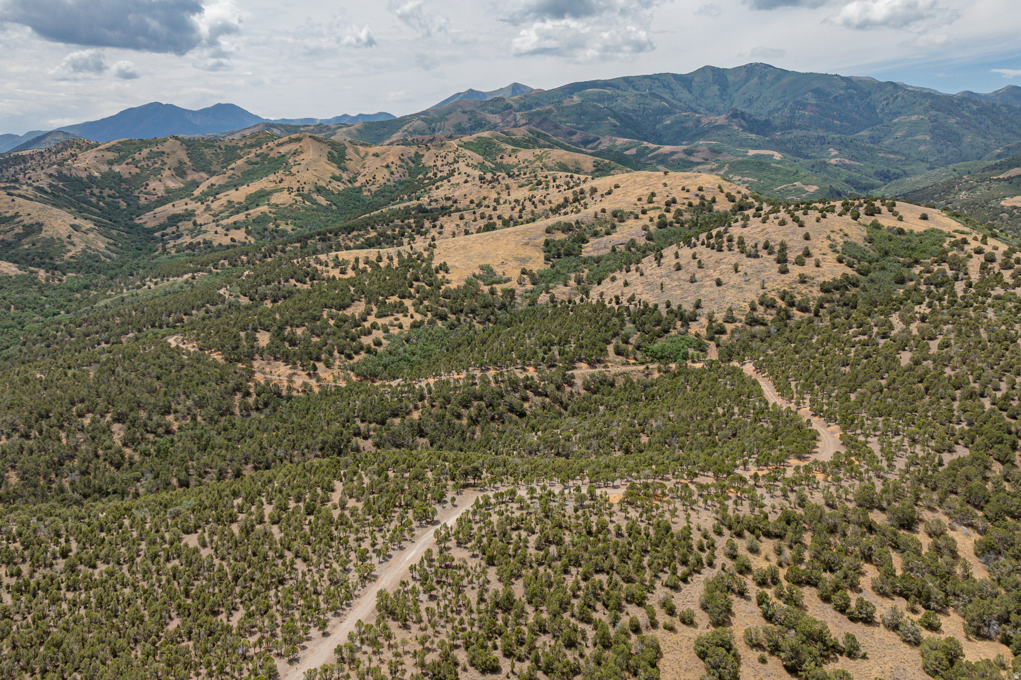 HI COUNTRY ESTATES PHASE 1 - Land