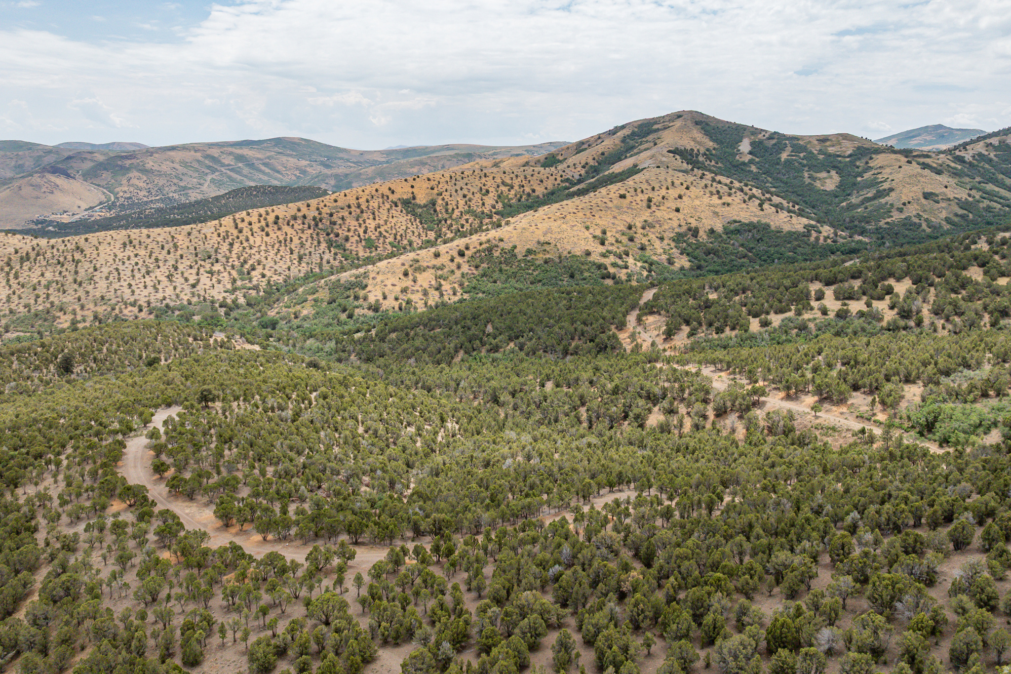 HI COUNTRY ESTATES PHASE 1 - Land