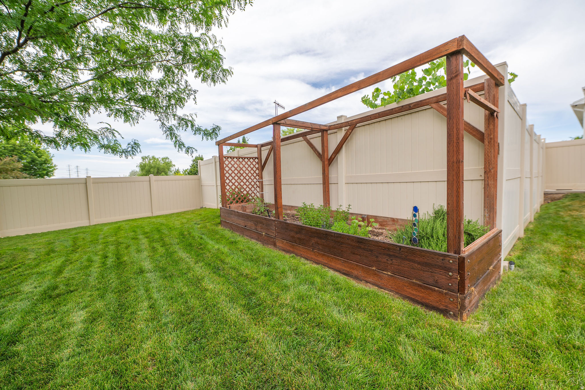 FARMINGTON MEADOWS - Residential