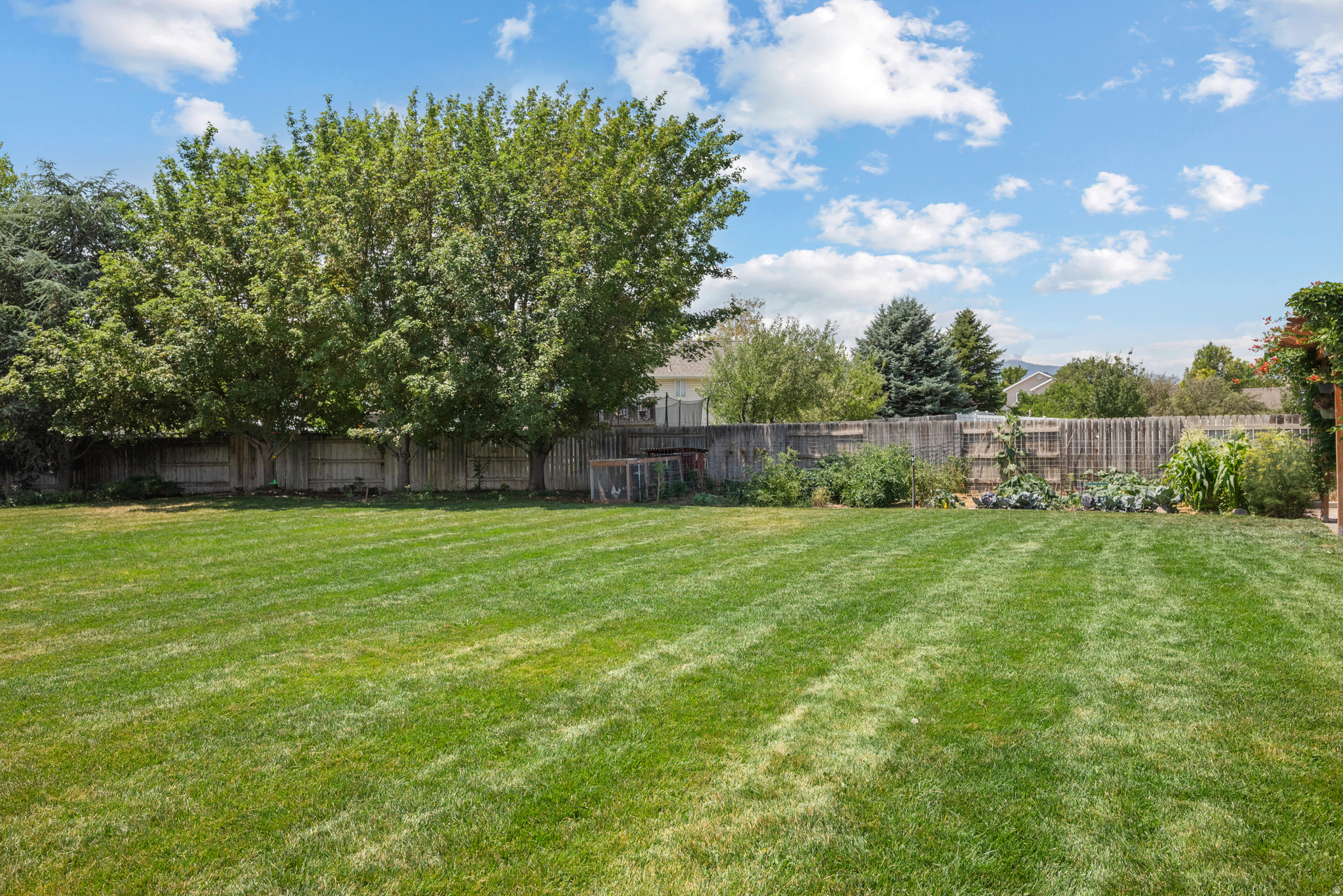 FOOTHILLS - Residential