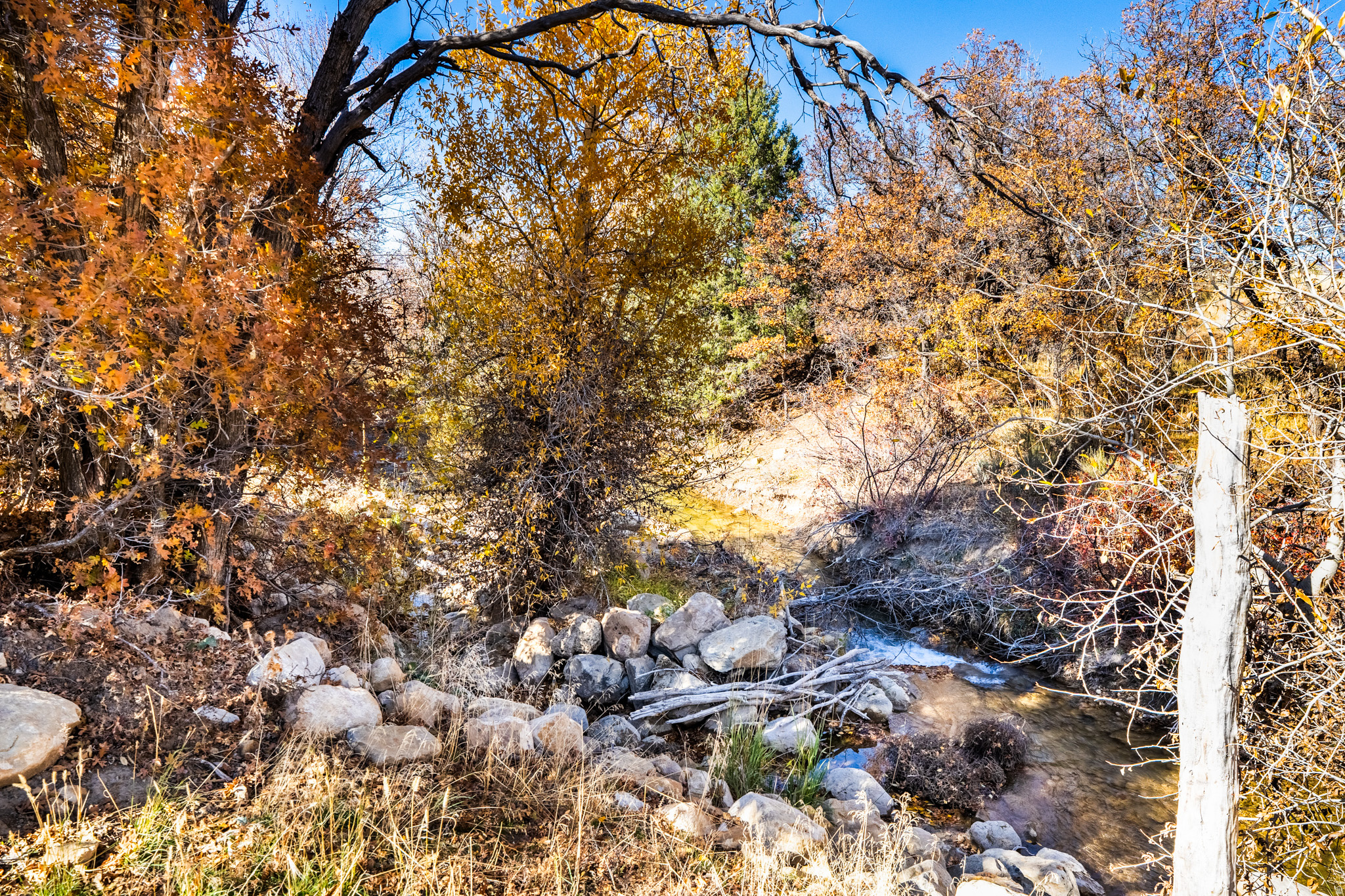 PLAT A, PLEASANT CREEK ESTATES - Residential