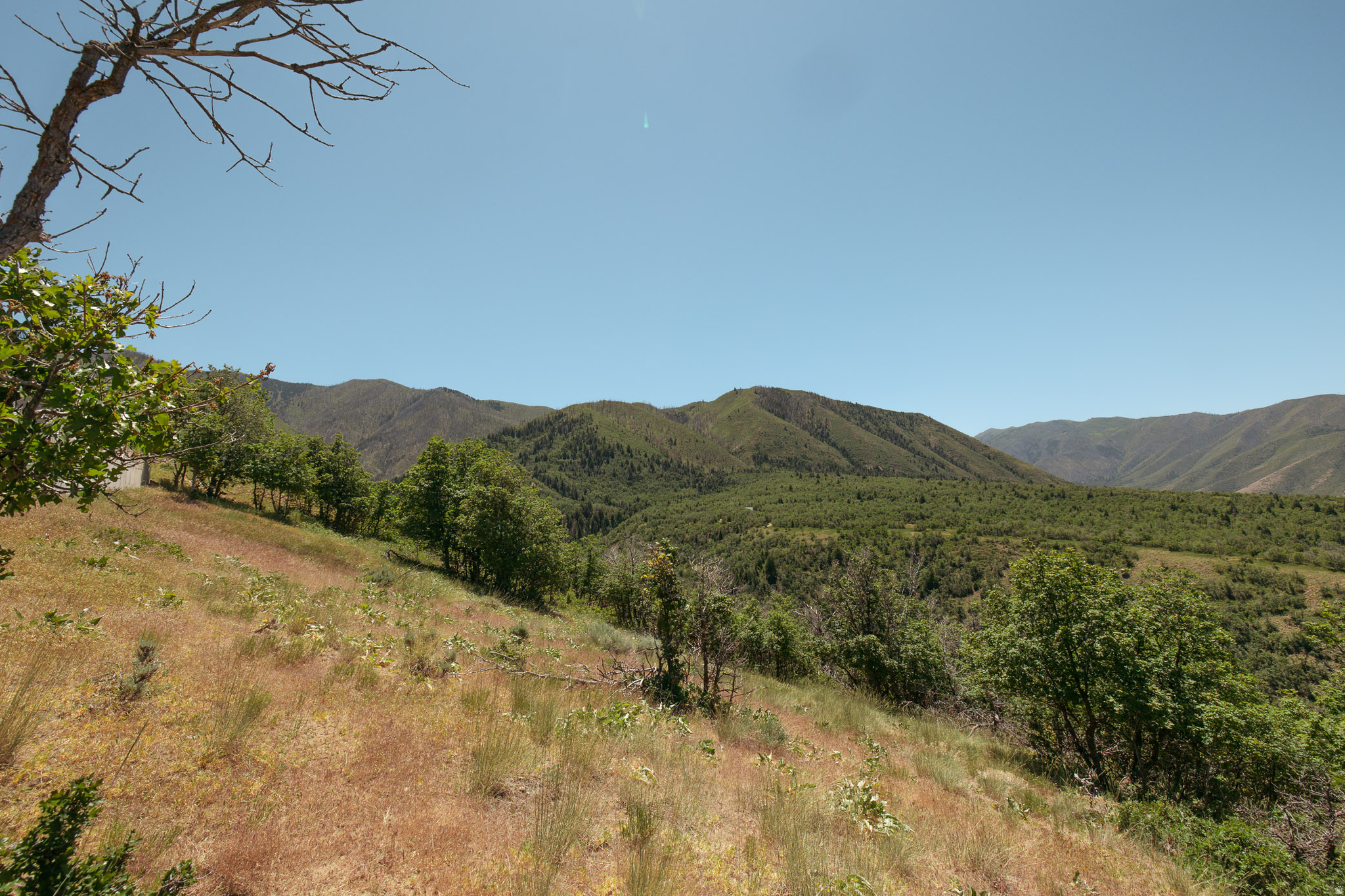 WOODLAND HILLS - Land