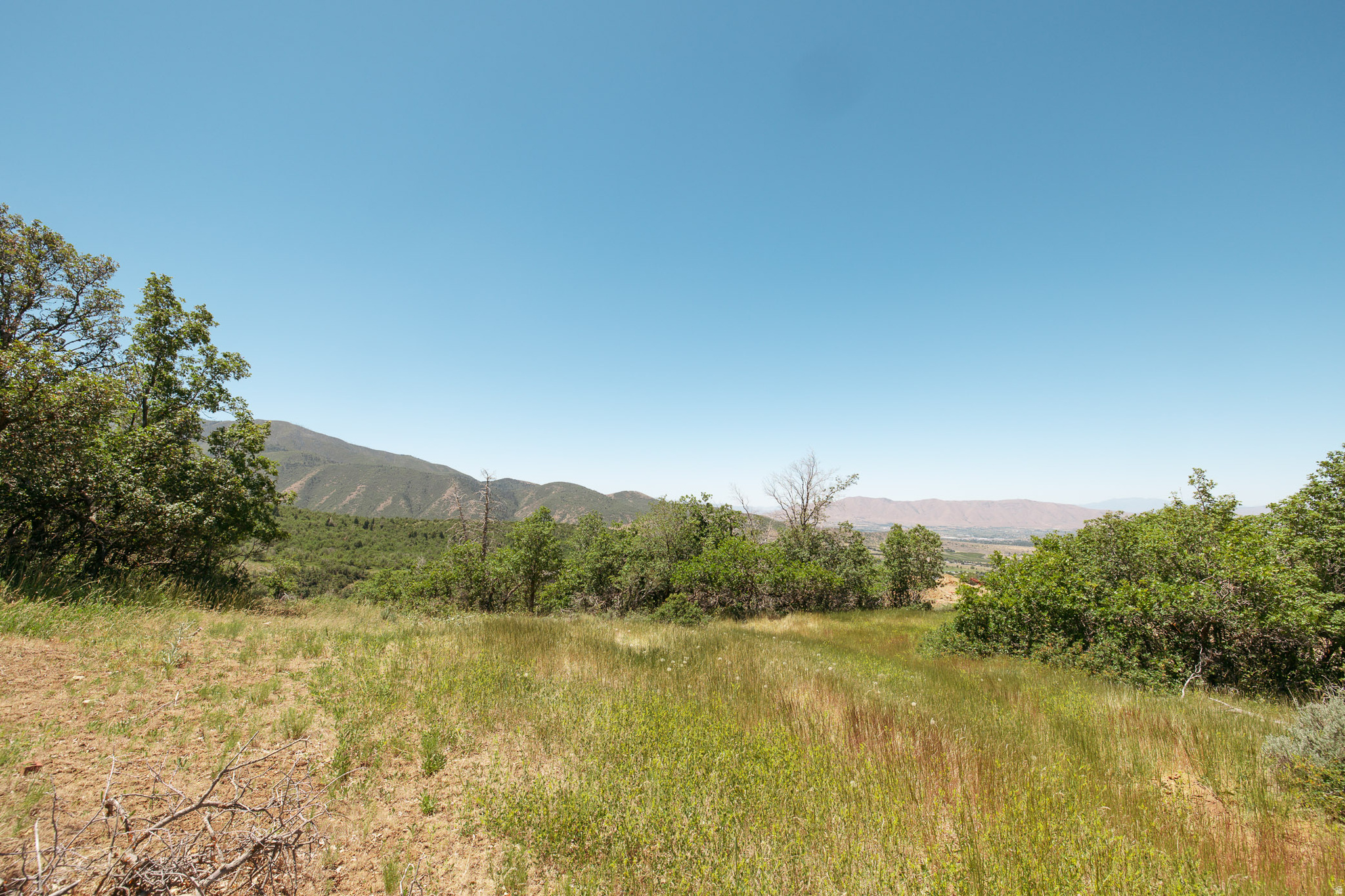 WOODLAND HILLS - Land