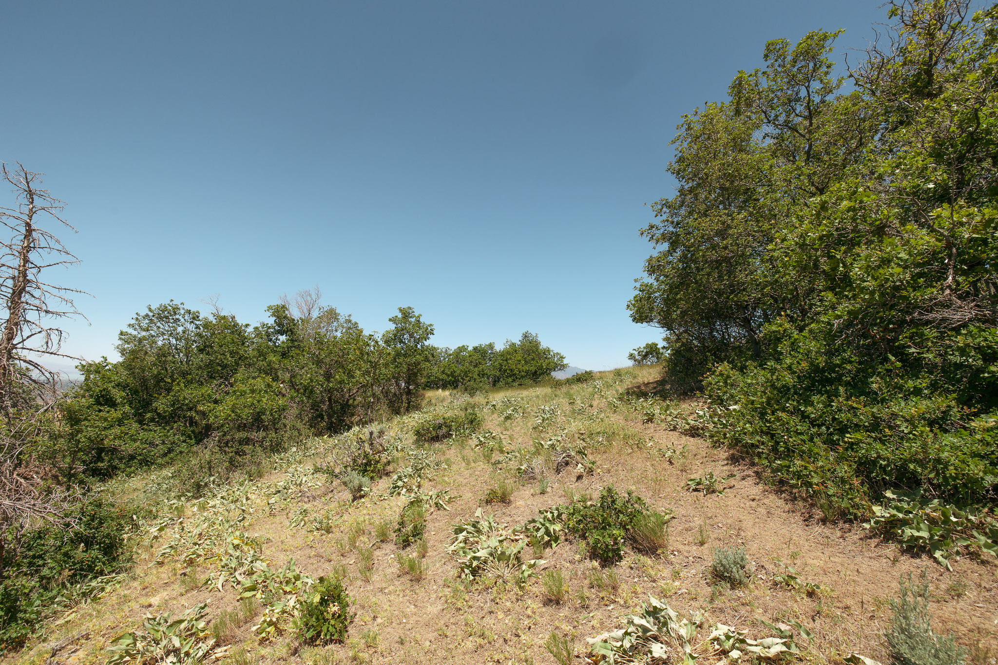 WOODLAND HILLS - Land