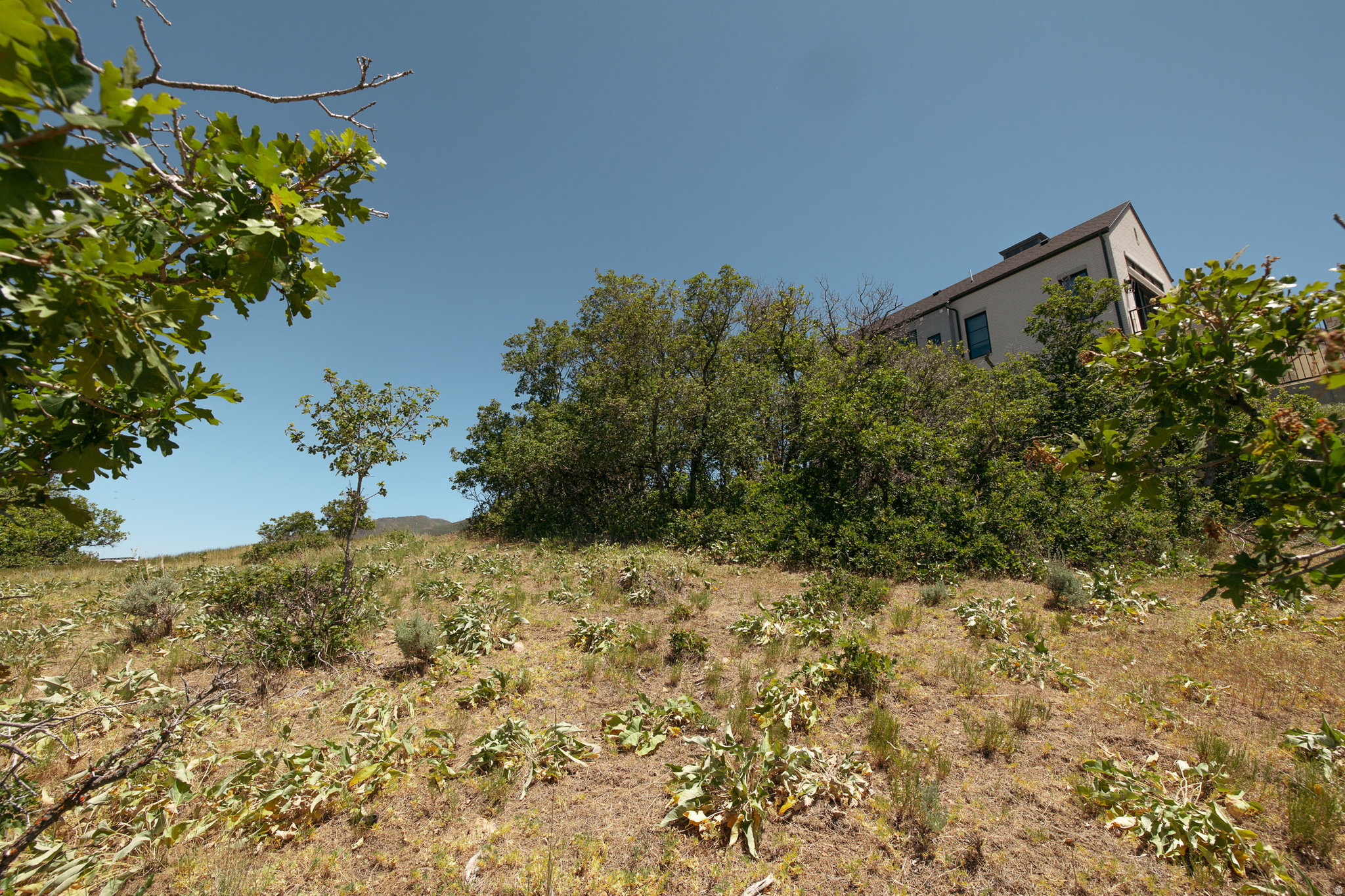 WOODLAND HILLS - Land