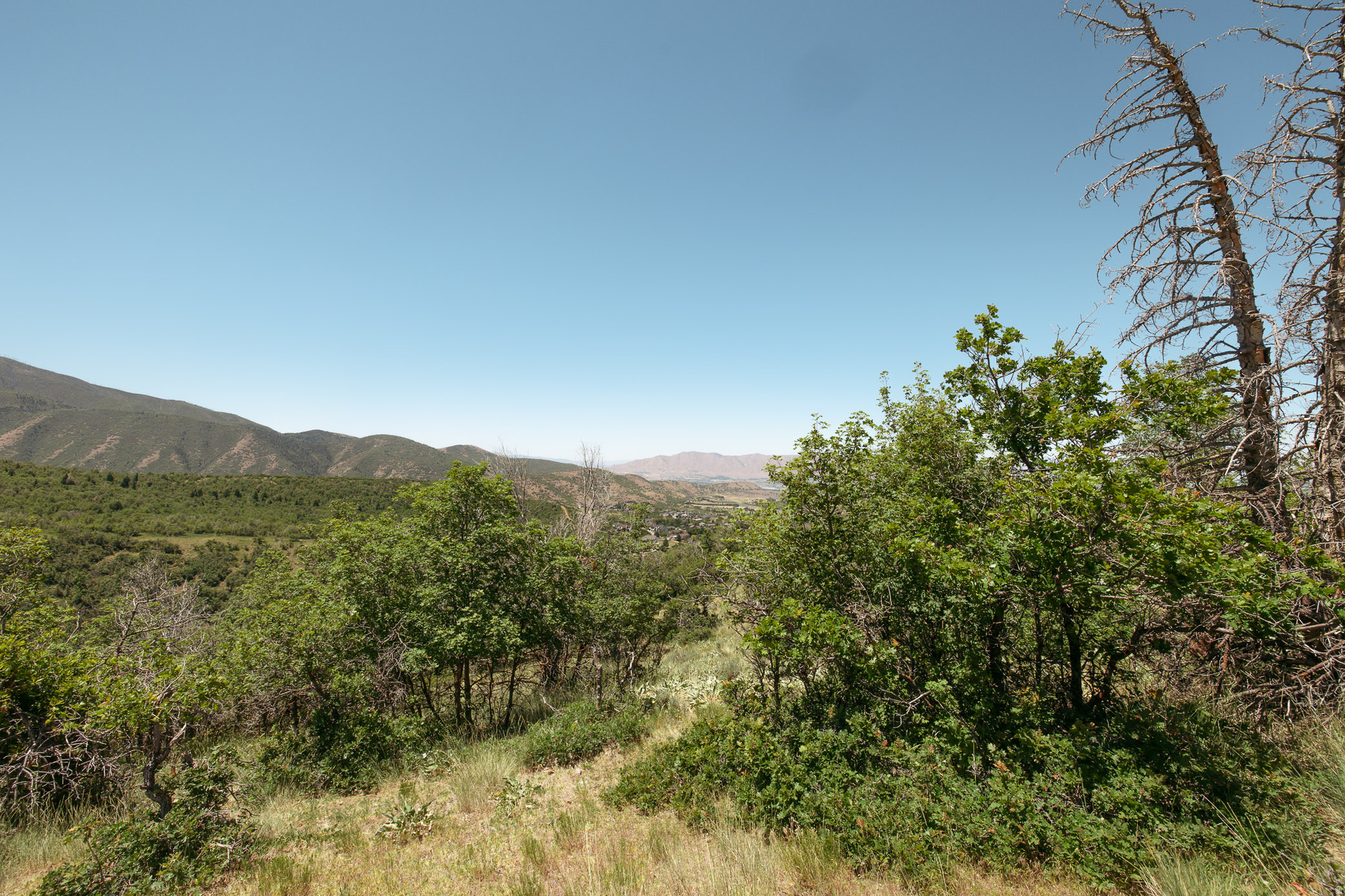 WOODLAND HILLS - Land