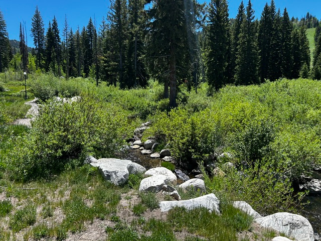 CREEKSIDE - Residential
