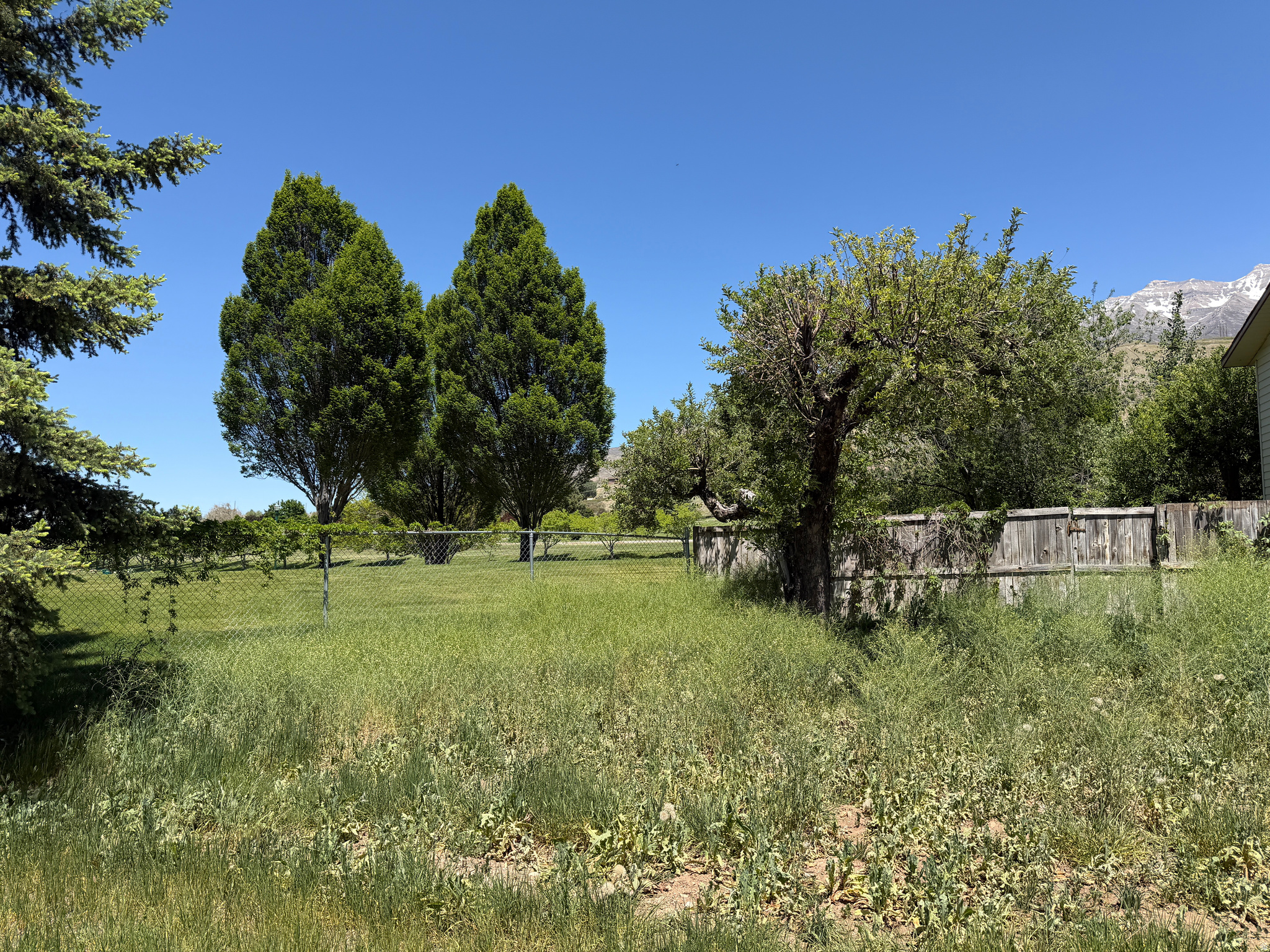 ORCHARD VILLAGE - Residential