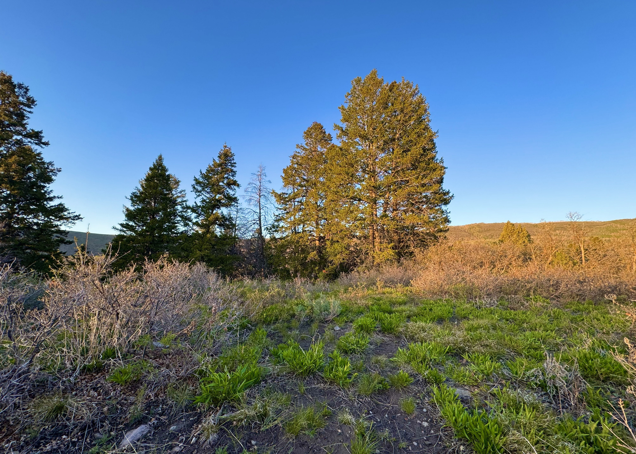 TIMBER LAKES - Land