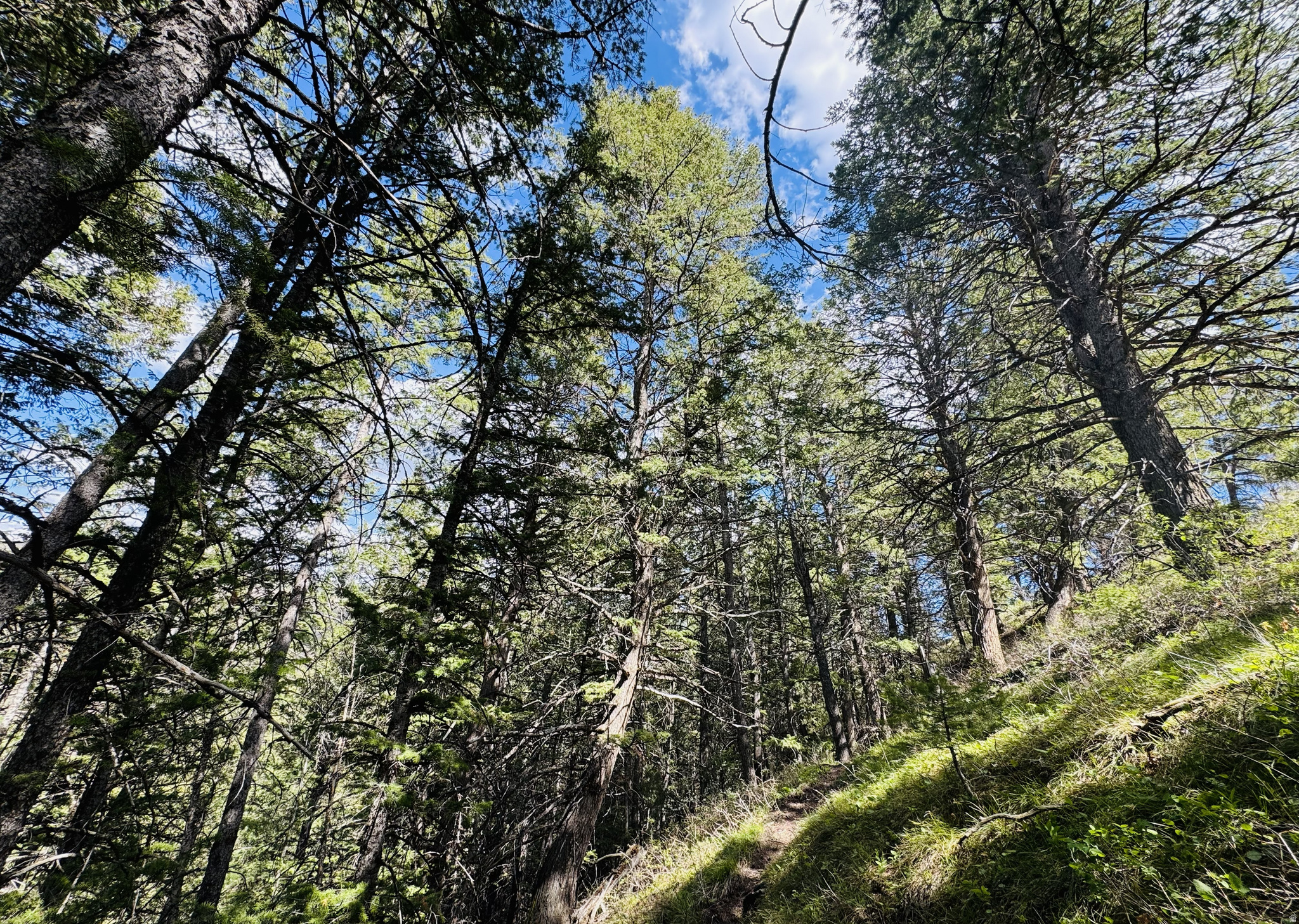 TIMBER LAKES - Land