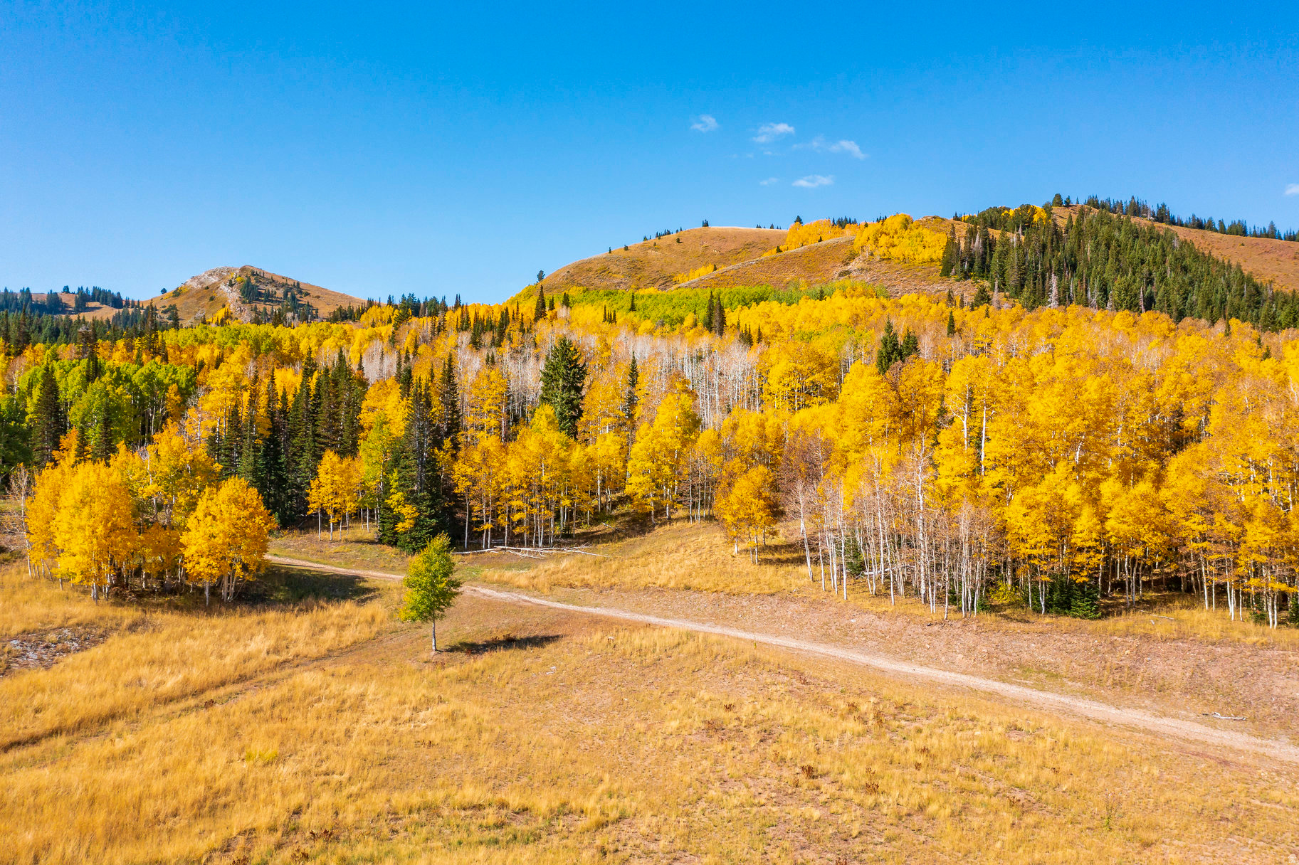 COLONY AT WHITE PINE CANYON - Land