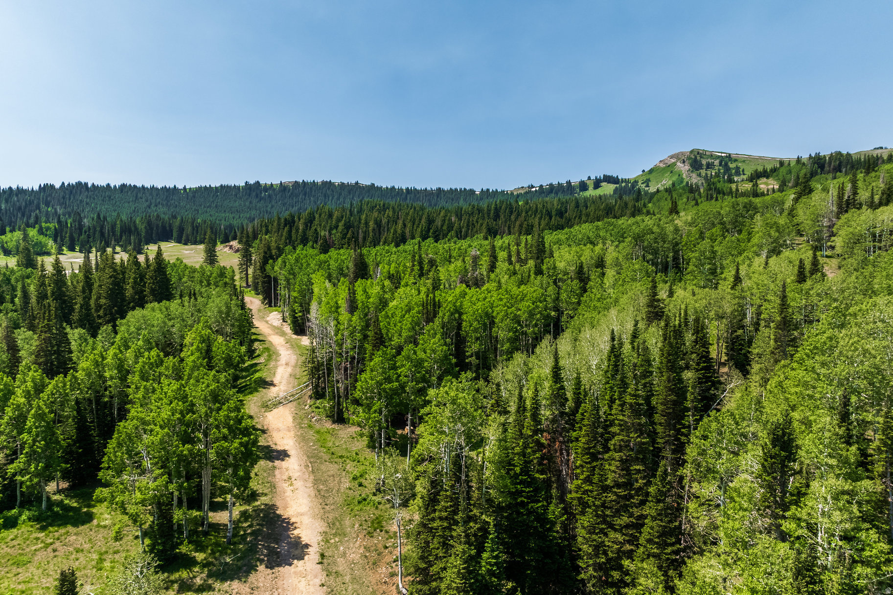 COLONY AT WHITE PINE CANYON - Land