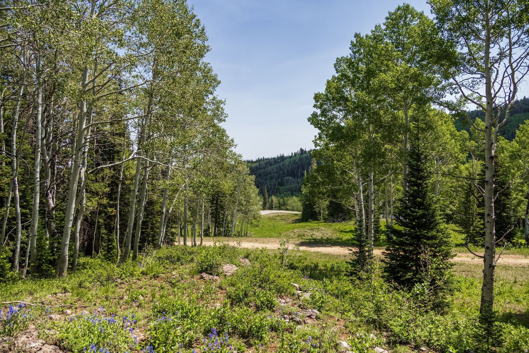 COLONY AT WHITE PINE CANYON - Land