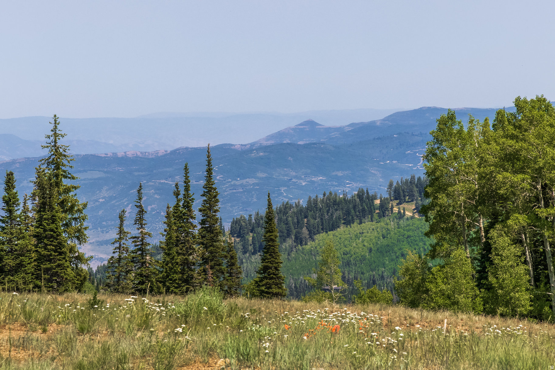 COLONY AT WHITE PINE CANYON - Land