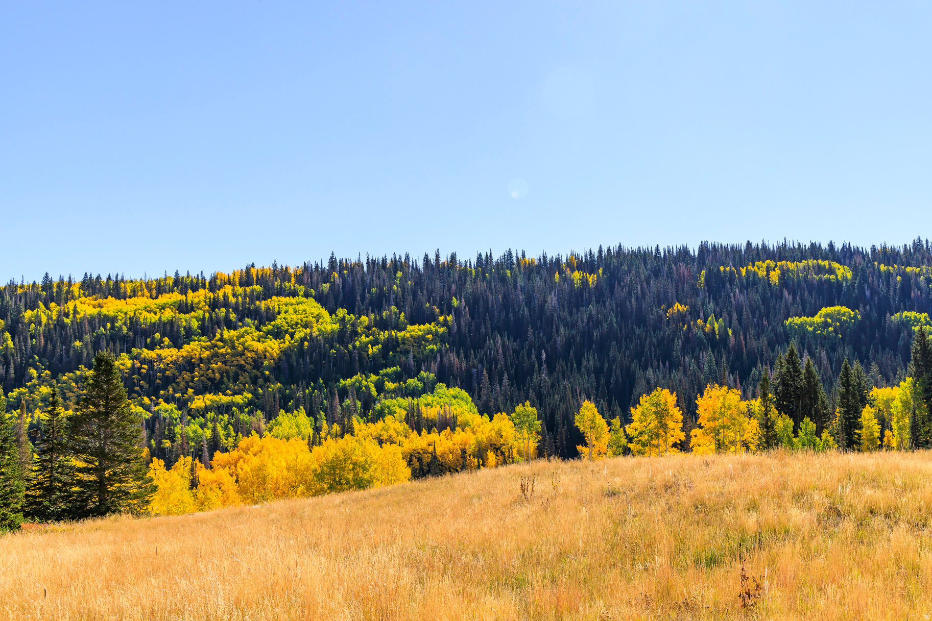 COLONY AT WHITE PINE CANYON - Land
