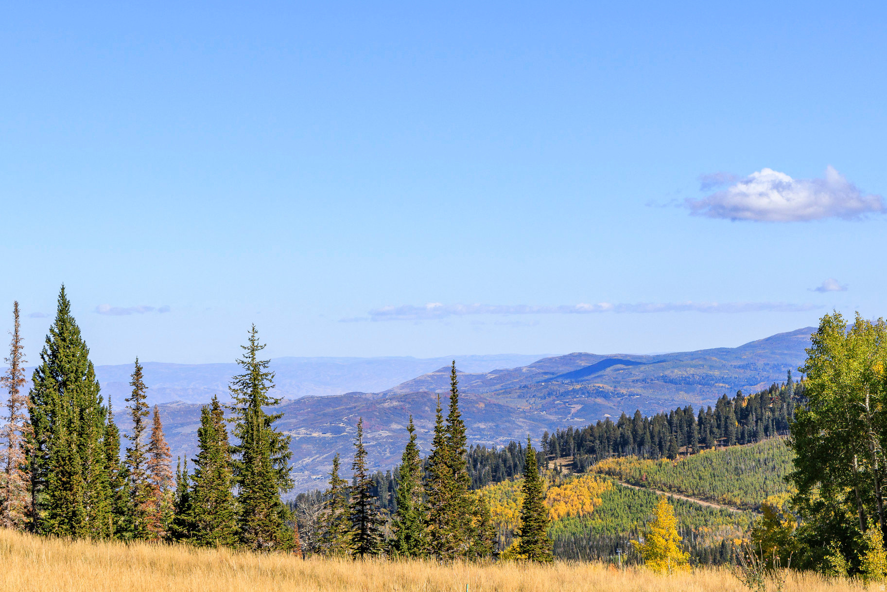 COLONY AT WHITE PINE CANYON - Land