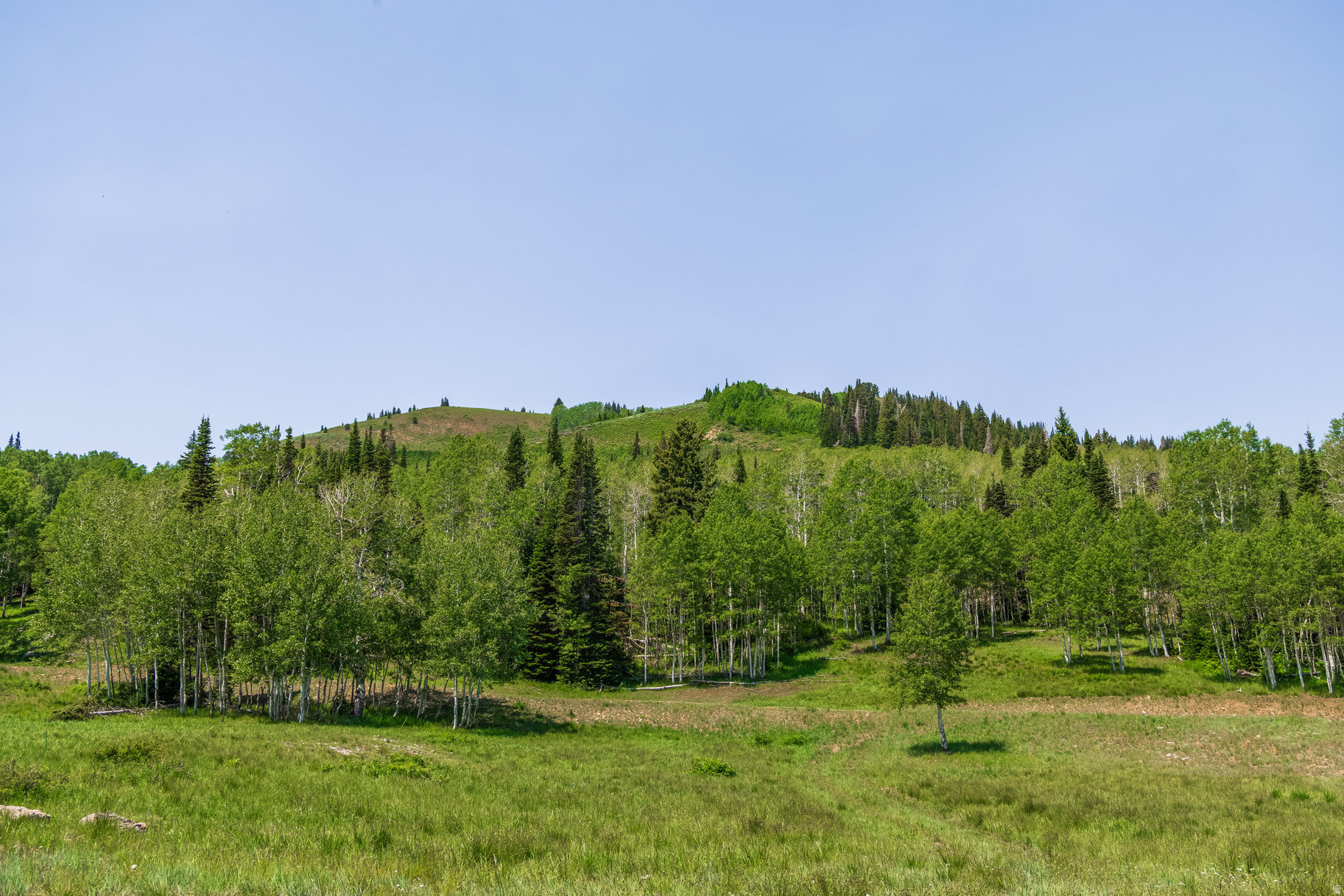 COLONY AT WHITE PINE CANYON - Land
