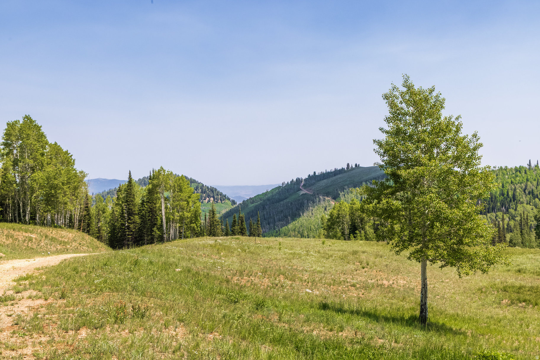 COLONY AT WHITE PINE CANYON - Land