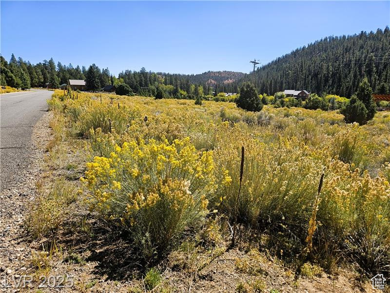 ASPEN HIGHLANDS SUBDIVISION - Land