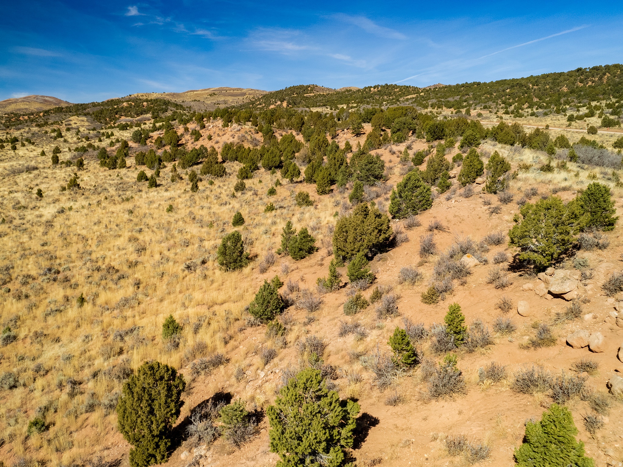 OAK HILLS RANCH - Land