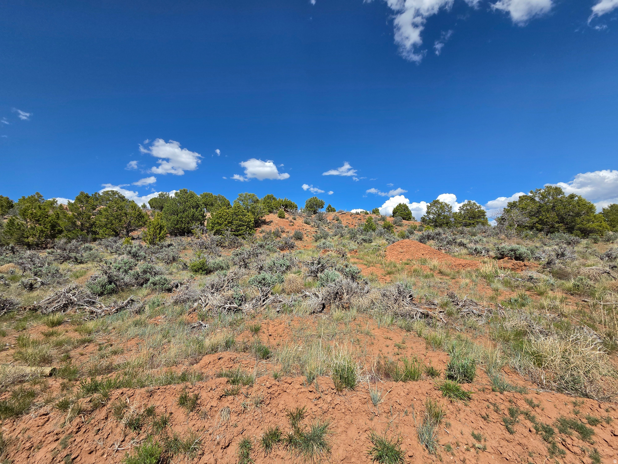 OAK HILLS RANCH - Land