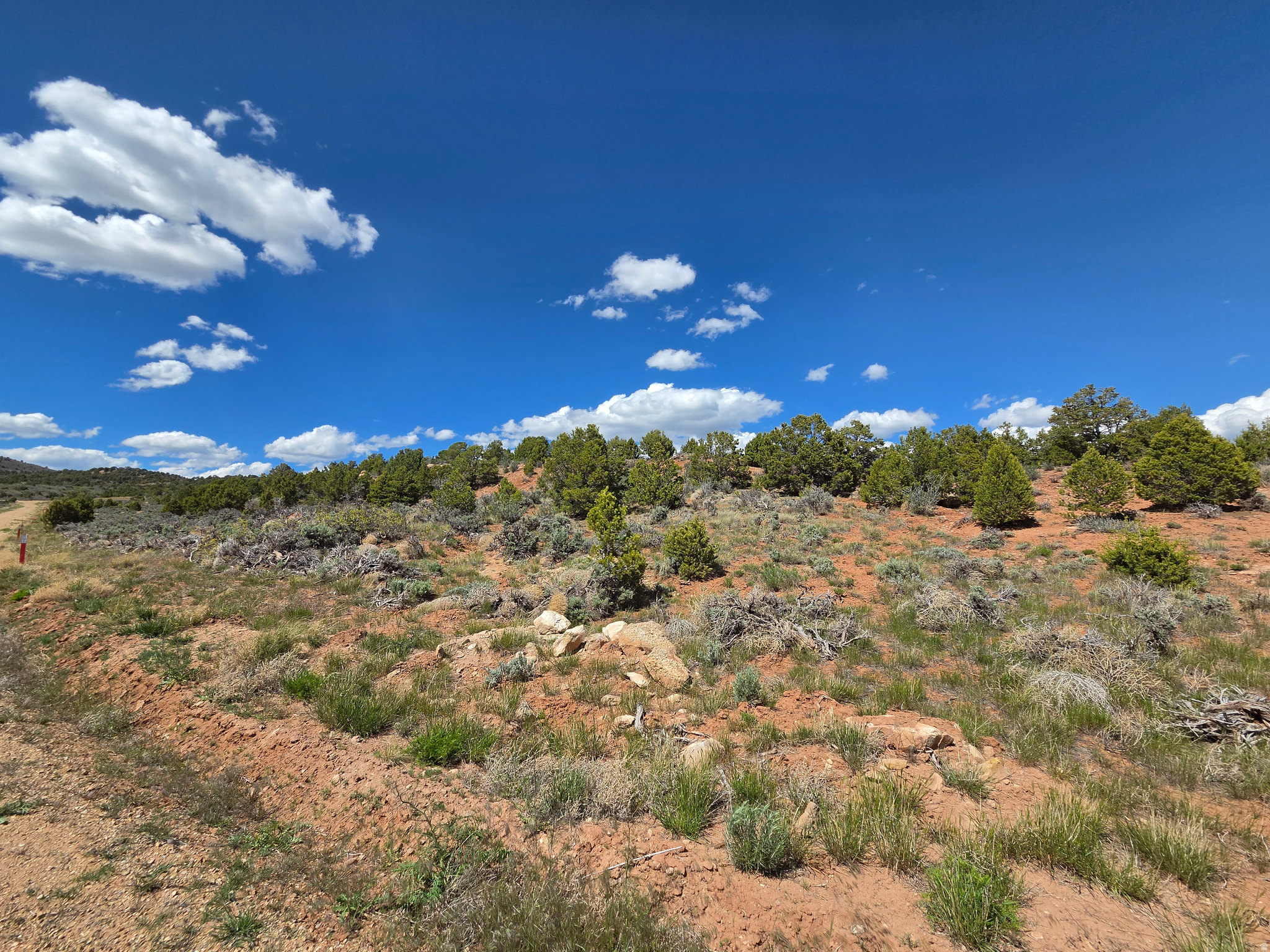 OAK HILLS RANCH - Land