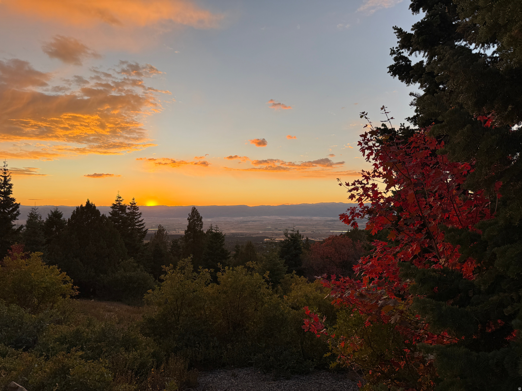 PINE CREEK RANCH - Land