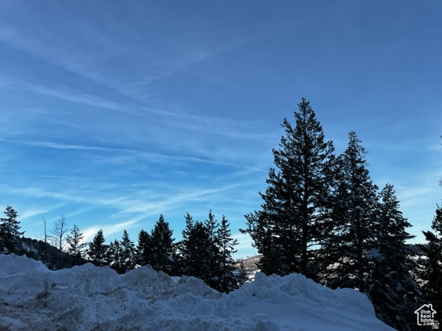 SUMMIT PARK - Land