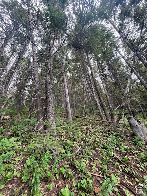 SUMMIT PARK - Land