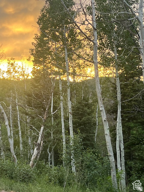 SUMMIT PARK - Land