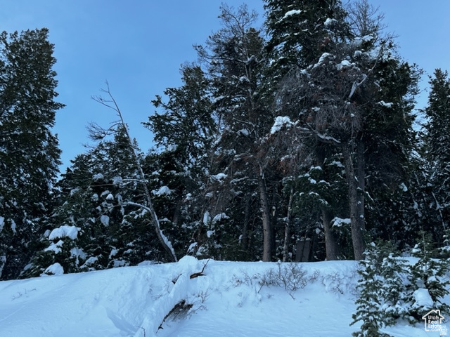 SUMMIT PARK - Land
